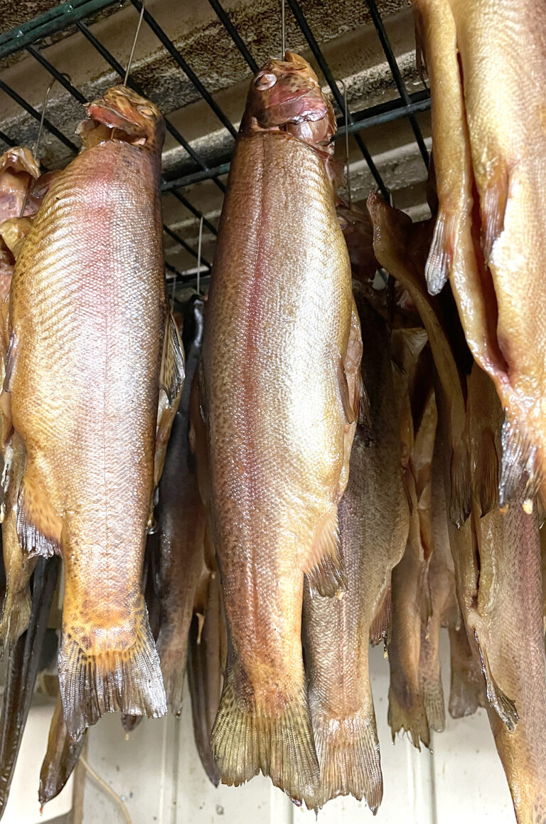 Herbsträuchern – Aale, Forellen und Lachsforellen beim Fischereiverein Essen