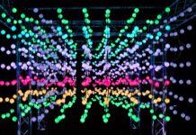 Beginn des Parkleuchtens im Grugapark Essen