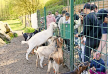 Essen-Überruhr: Osterfeuer im Tiergehege Wichteltal